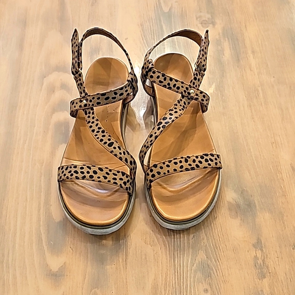 Leopard Velcro Sandal 11